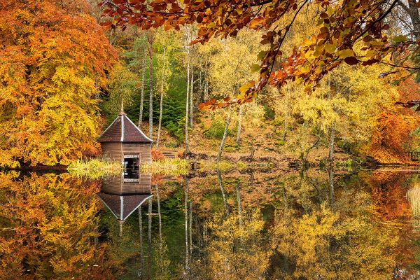 Autumn Reflections   Loch Dunmore