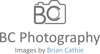 BC Camera Banner