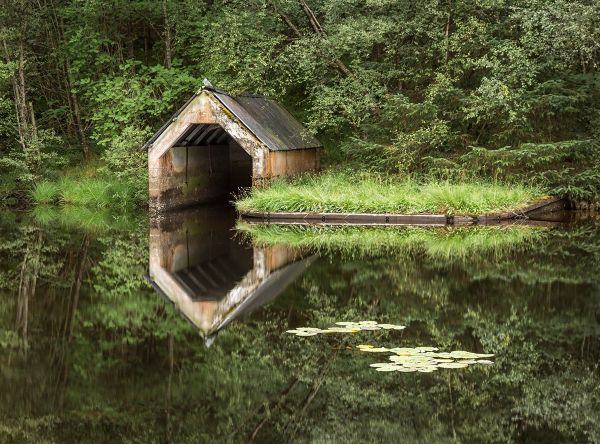 Loch Chon Reflections