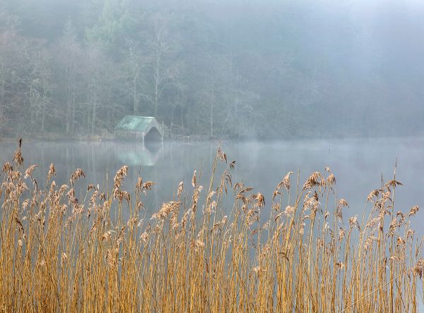 Milton Mist