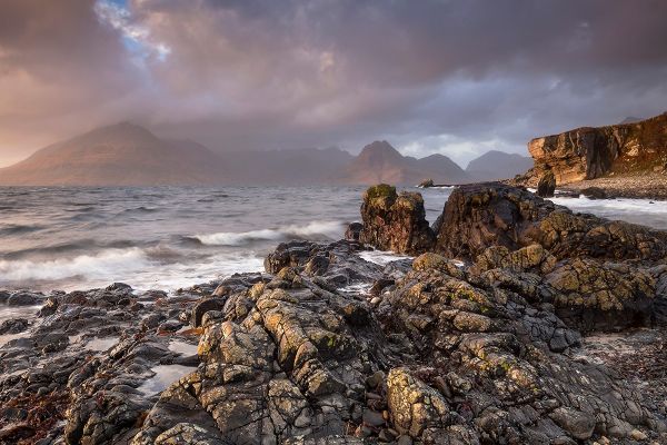 Moody Elgol