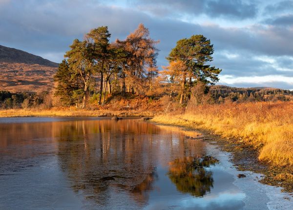 Autumn Sun on Loch Tulla