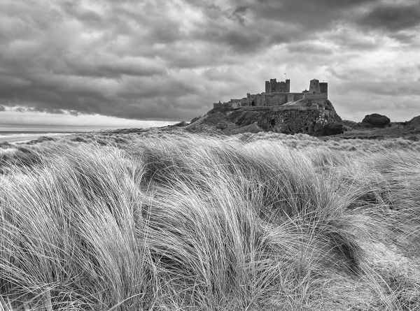 Bamburgh Dunes