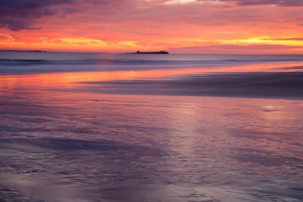 Farne Islands