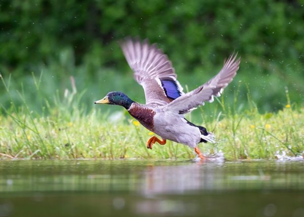 Cleared for take off