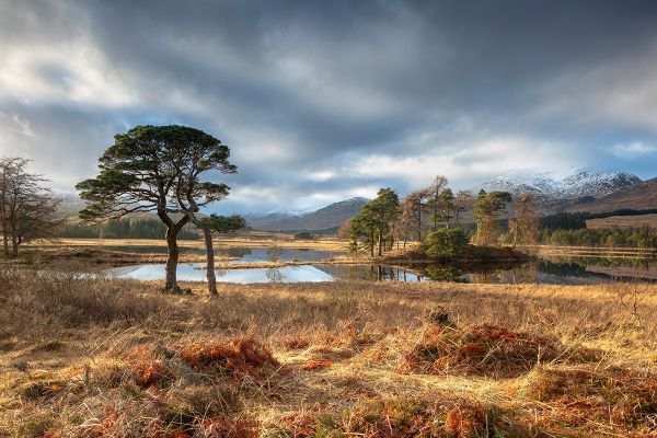 Evening Light on Loch Tulla