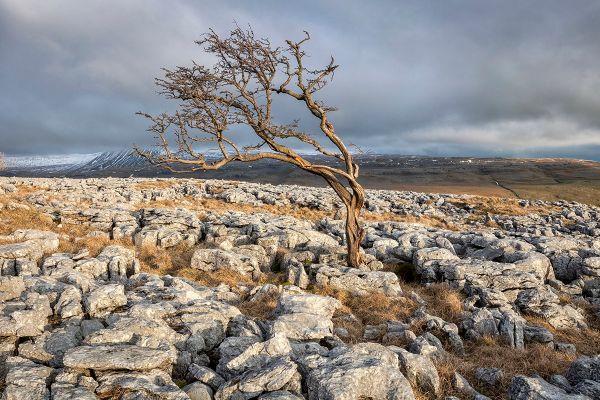 Twiselton Scar