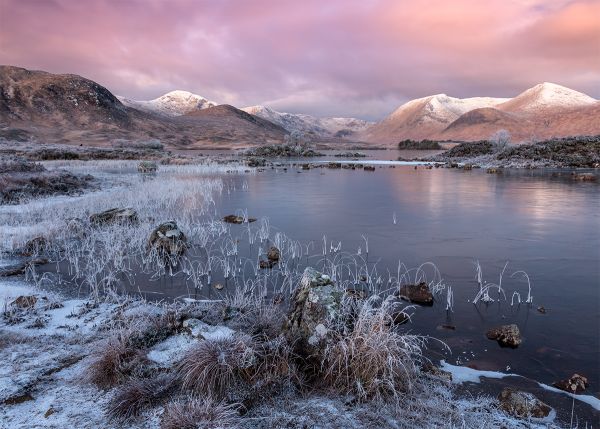 Rannoch Dawn