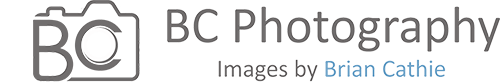 BC Camera Banner